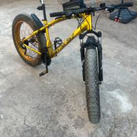 Fat bike