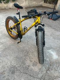 Fat bike