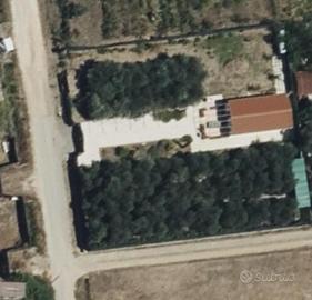 Annesso agric a - Prato RanieriFollonica