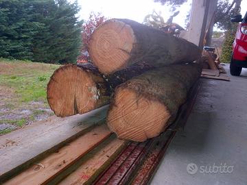 Travi di castagno centenari