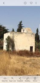 Salento terreno 12.000 mq loc. alezio (le)