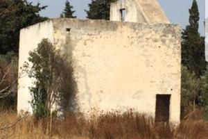 Salento terreno 12.000 mq loc. alezio (le)