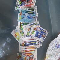 carte panini  2017-18