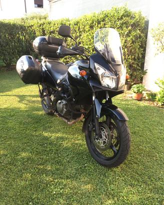 V strom 650 - anno 2004
