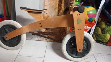 Bici in legno