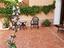 Immagine 6