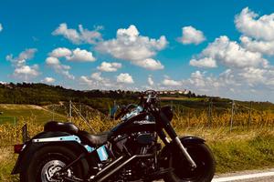 Harley-Davidson Fat Boy - 2001