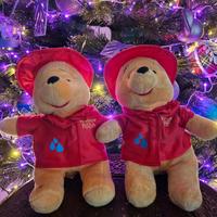 peluche Winnie the Pooh e Tigro