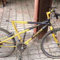 Mountain bike bianchi