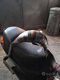 scarico completo giannelli am6