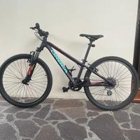 Bicicletta mountain bike