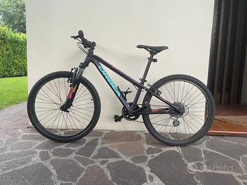 Bicicletta mountain bike