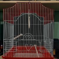 gabbia per uccelli