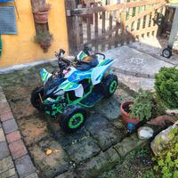 quad elettrico  36 v con accessori