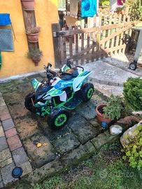quad elettrico  36 v con accessori