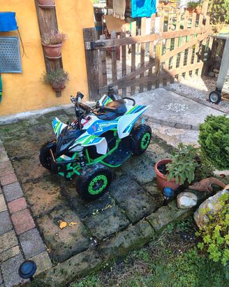 quad elettrico  36 v con accessori