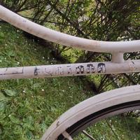Bicicletta fontana donna