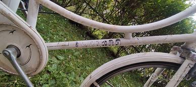 Bicicletta fontana donna