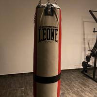 Sacco boxe leone