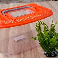 Acquario rettangolare medio con coperchio 