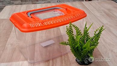 Acquario rettangolare medio con coperchio 