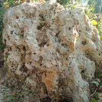 Rocciemarine-pietre ornamentali-originalixgiardini