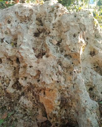 Rocciemarine-pietre ornamentali-originalixgiardini