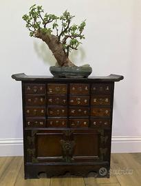 Cassettiera orientale porta medicine primi 900 ant