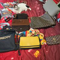 borsa ,borse Sisley, Luis Vuitton,Carla ferroni 