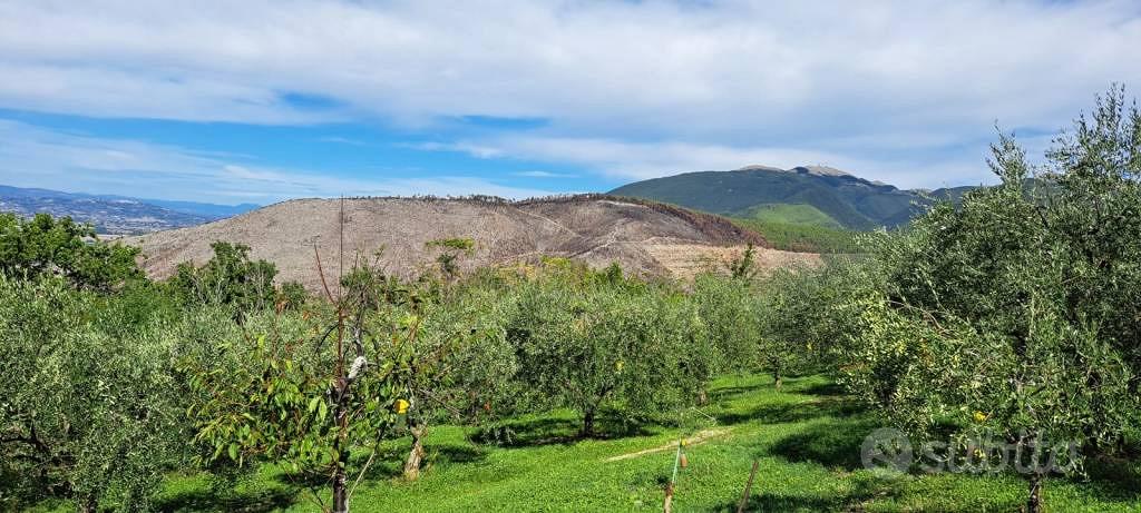 Terreno di 4000 m² a Spoleto - Altro