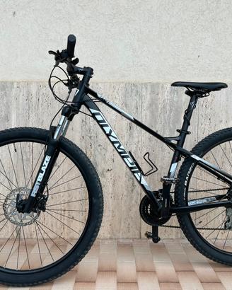 Bici Olympia Cobra