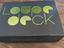 Immagine 2