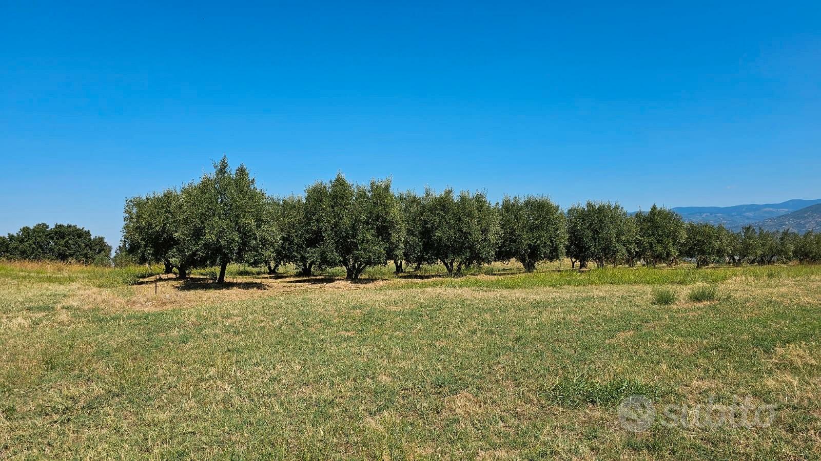 Terreno edificabile localita' piano monello - Vista 3