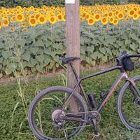Orbea terra