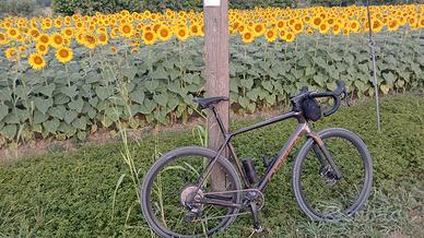Orbea terra