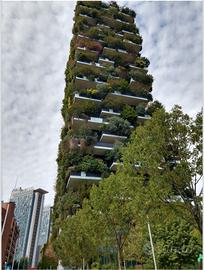 A due passi dal bosco verticale