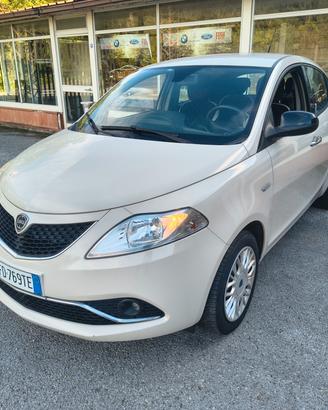 LANCIA YPSILON 1.2 69 CV 5 PORTE PLATINUM