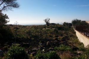 Ragalna - terreno agricolo id: ra048t