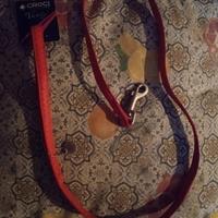 guinzaglio + pettorina per cane