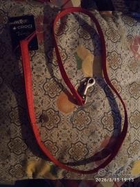 guinzaglio + pettorina per cane