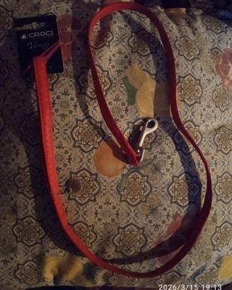 guinzaglio + pettorina per cane