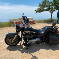 Harley Davidson Fat boy special
