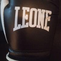 Guantoni Leone flash 10 Oz palla francese.
