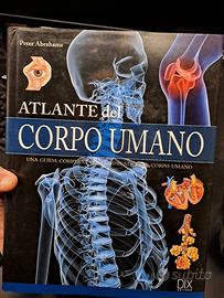 Libro atlante del corpo umano