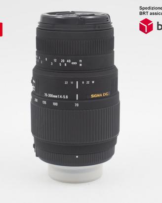 Sigma 70-300 F4-5.6 DG Macro (Nikon)