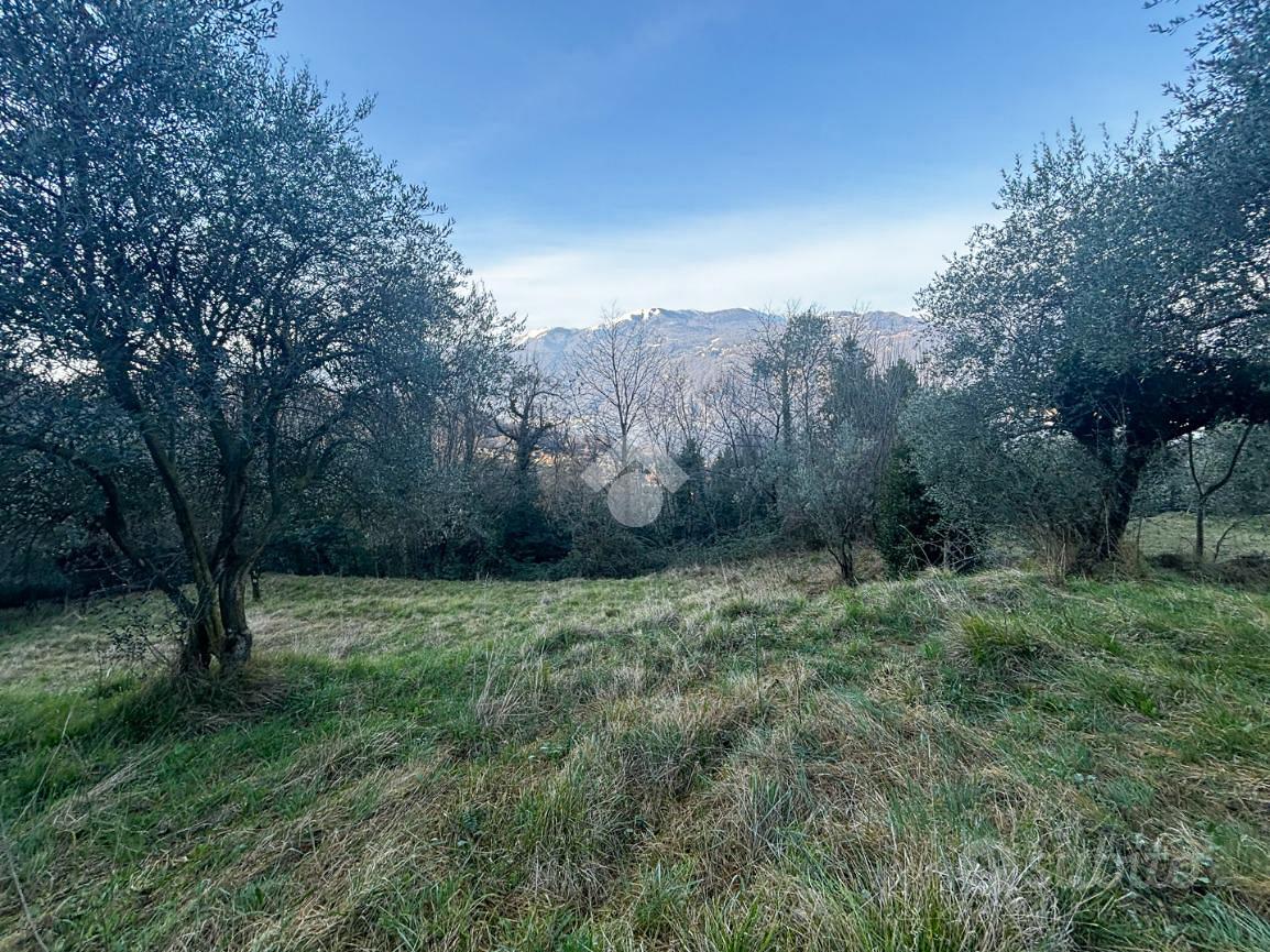 TER. AGRICOLO A LIERNA - Vista 3