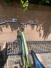 bicicletta mountain bike