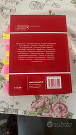 Dizionario