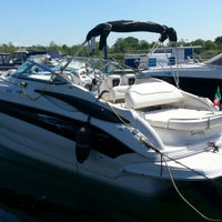 Crownline 270 cr