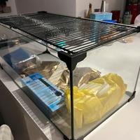 Vasca per tartarughe